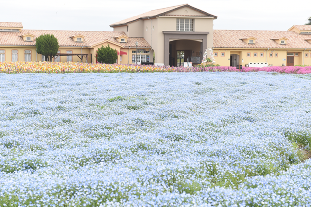 長井海の手公園ソレイユの丘
